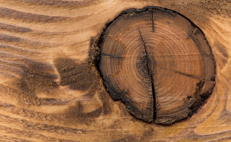 drewno na meble - jakie jest najlepsze drewno na meble